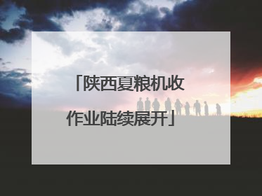 陕西夏粮机收作业陆续展开