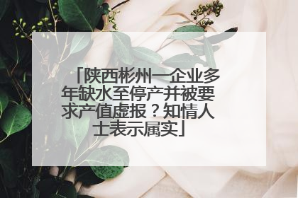 陕西彬州一企业多年缺水至停产并被要求产值虚报？知情人士表示属实