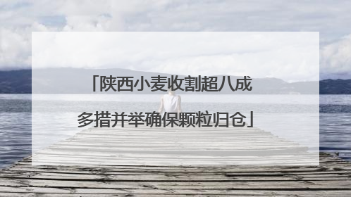 陕西小麦收割超八成 多措并举确保颗粒归仓