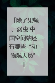 除了果蝇、涡虫 中国空间站还有哪些“动物航天员”