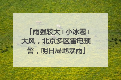 雨强较大+小冰雹+大风，北京多区雷电预警，明日局地暴雨