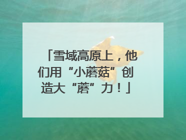 雪域高原上，他们用“小蘑菇”创造大“蘑”力！