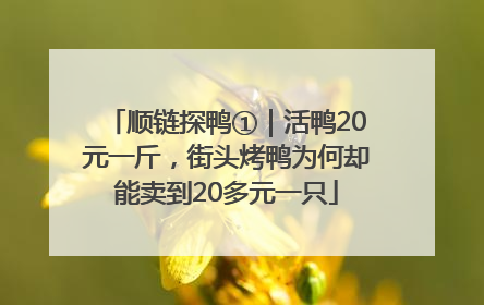 顺链探鸭①｜活鸭20元一斤，街头烤鸭为何却能卖到20多元一只