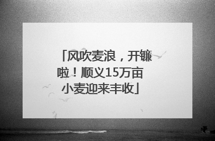 风吹麦浪，开镰啦！顺义15万亩小麦迎来丰收