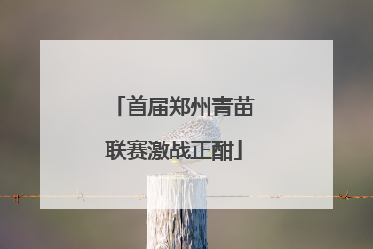 首届郑州青苗联赛激战正酣