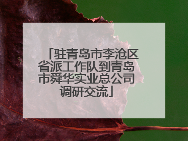 驻青岛市李沧区省派工作队到青岛市舜华实业总公司调研交流