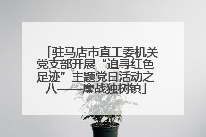 驻马店市直工委机关党支部开展“追寻红色足迹”主题党日活动之八——鏖战独树镇