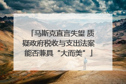 马斯克直言失望 质疑政府税收与支出法案能否兼具“大而美”