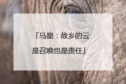 马星：故乡的云是召唤也是责任