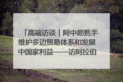 高端访谈｜阿中愿携手维护多边贸易体系和发展中国家利益——访阿拉伯议会议长亚马希