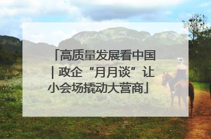 高质量发展看中国｜政企“月月谈”让小会场撬动大营商