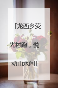 龙西乡荧光村跑，悦动山水间