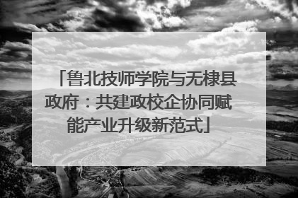 鲁北技师学院与无棣县政府：共建政校企协同赋能产业升级新范式