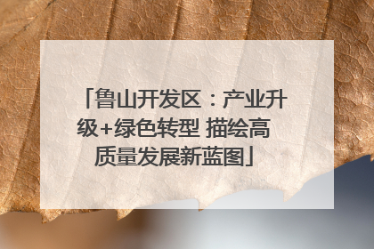 鲁山开发区：产业升级+绿色转型 描绘高质量发展新蓝图