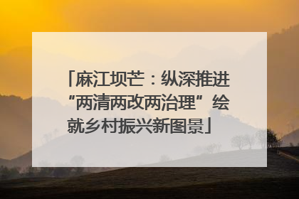 麻江坝芒：纵深推进“两清两改两治理”绘就乡村振兴新图景