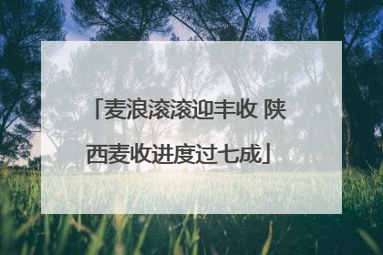 麦浪滚滚迎丰收 陕西麦收进度过七成