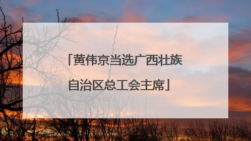 黄伟京当选广西壮族自治区总工会主席