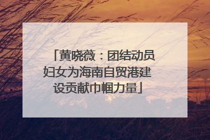 黄晓薇：团结动员妇女为海南自贸港建设贡献巾帼力量
