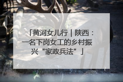 黄河女儿行｜陕西：一名下岗女工的乡村振兴“家政兵法”