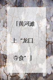 黄河滩上“龙口夺食”