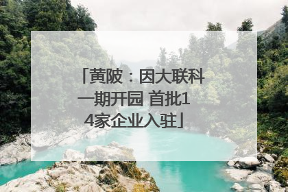 黄陂：因大联科一期开园 首批14家企业入驻