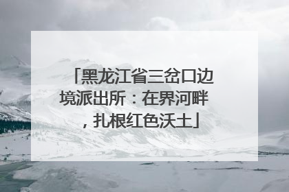 黑龙江省三岔口边境派出所：在界河畔，扎根红色沃土