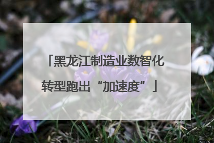 黑龙江制造业数智化转型跑出“加速度”