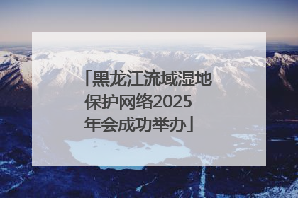 黑龙江流域湿地保护网络2025年会成功举办