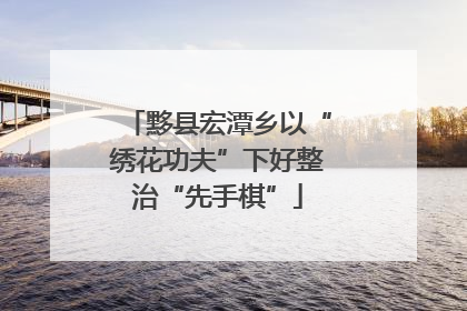 黟县宏潭乡以“绣花功夫”下好整治“先手棋”