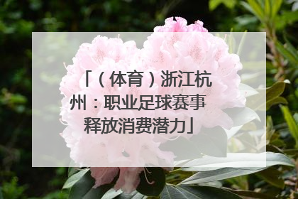 （体育）浙江杭州：职业足球赛事释放消费潜力