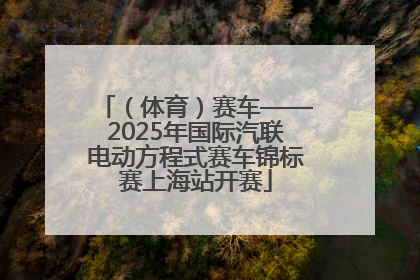 （体育）赛车——2025年国际汽联电动方程式赛车锦标赛上海站开赛