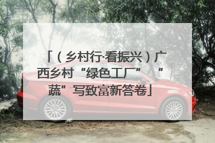 （乡村行·看振兴）广西乡村“绿色工厂” “蔬”写致富新答卷