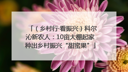 （乡村行·看振兴）科尔沁新农人：10亩大棚起家种出乡村振兴“甜蜜果”