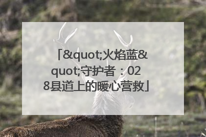 "火焰蓝"守护者：028县道上的暖心营救