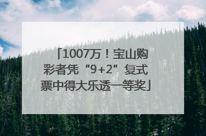 1007万！宝山购彩者凭“9+2”复式票中得大乐透一等奖