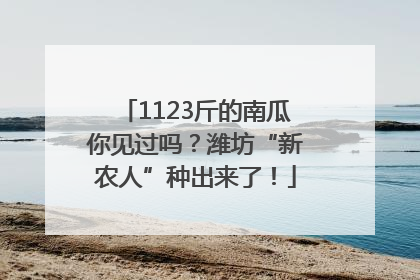 1123斤的南瓜你见过吗？潍坊“新农人”种出来了！