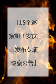 15个巡察组！安庆市发布专项巡察公告