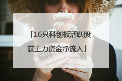 16只科创板活跃股获主力资金净流入