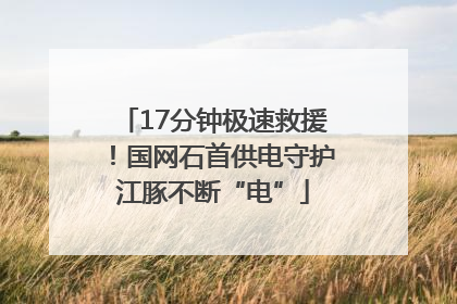 17分钟极速救援！国网石首供电守护江豚不断“电”