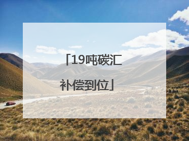 19吨碳汇补偿到位