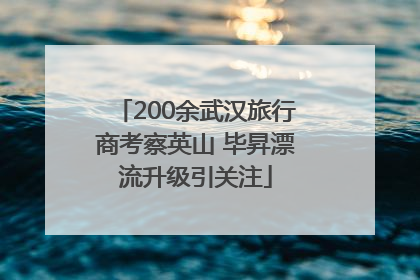 200余武汉旅行商考察英山 毕昇漂流升级引关注