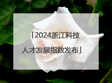 2024浙江科技人才发展指数发布