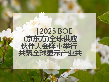 2025 BOE(京东方)全球供应伙伴大会隆重举行 共筑全球显示产业共生共赢新格局