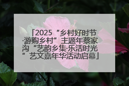 2025“乡村好时节·游购乡村”主题年蔡家沟“艺韵乡集·乐活时光”艺文嘉年华活动启幕