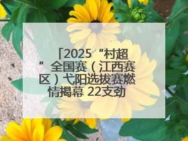 2025“村超”全国赛（江西赛区）弋阳选拔赛燃情揭幕 22支劲旅绿茵逐梦