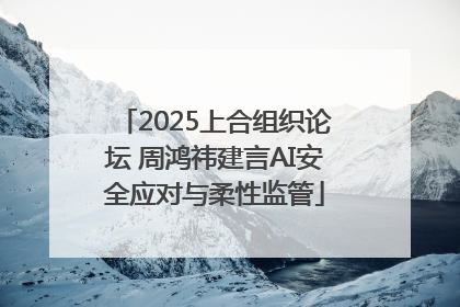 2025上合组织论坛 周鸿祎建言AI安全应对与柔性监管