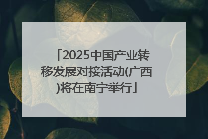 2025中国产业转移发展对接活动(广西)将在南宁举行