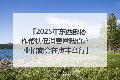 2025年东西部协作帮扶促消费暨糯食产业招商会在贞丰举行