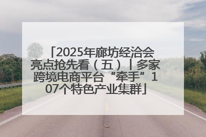 2025年廊坊经洽会亮点抢先看（五）丨多家跨境电商平台“牵手”107个特色产业集群