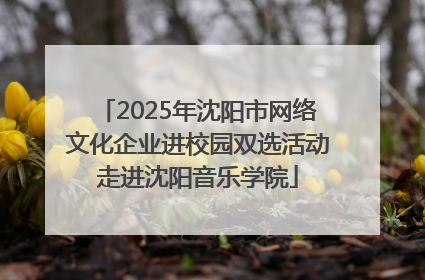 2025年沈阳市网络文化企业进校园双选活动走进沈阳音乐学院